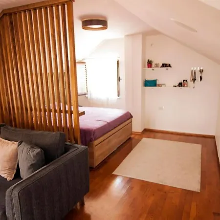 Penthouse Studio * Подгорица