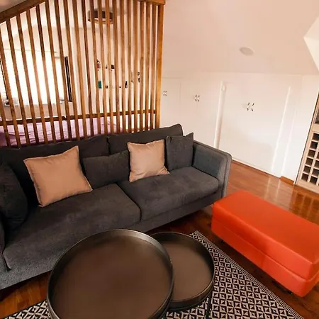 Апартаменты Penthouse Studio Подгорица