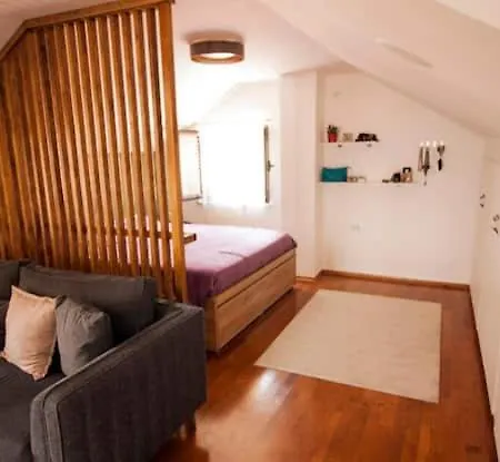 Апартаменты Penthouse Studio